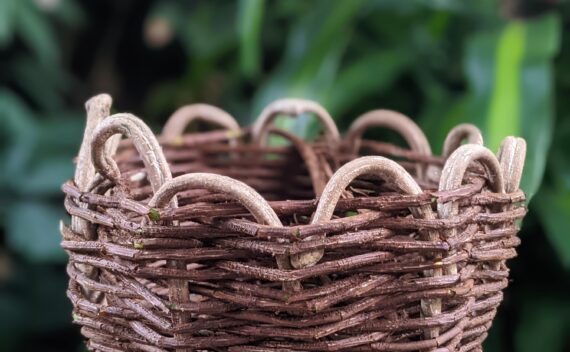 Wayward Basketry